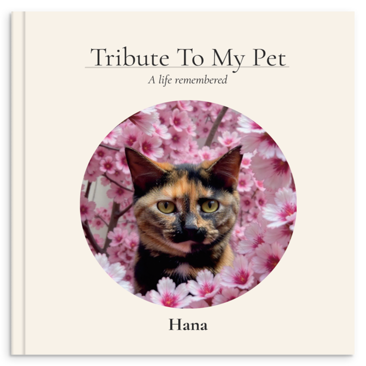 Hana's memorial book cover
