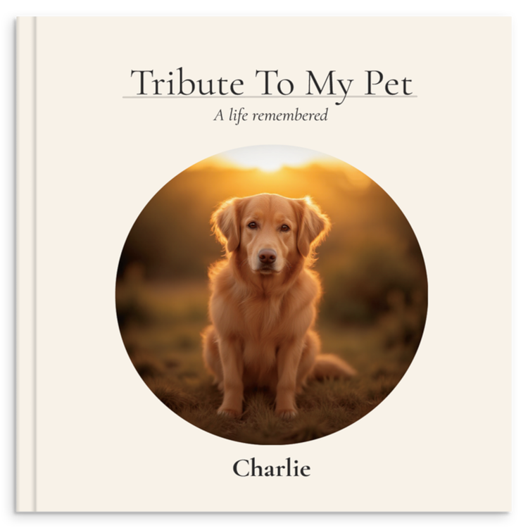 Charlie's memorial book cover