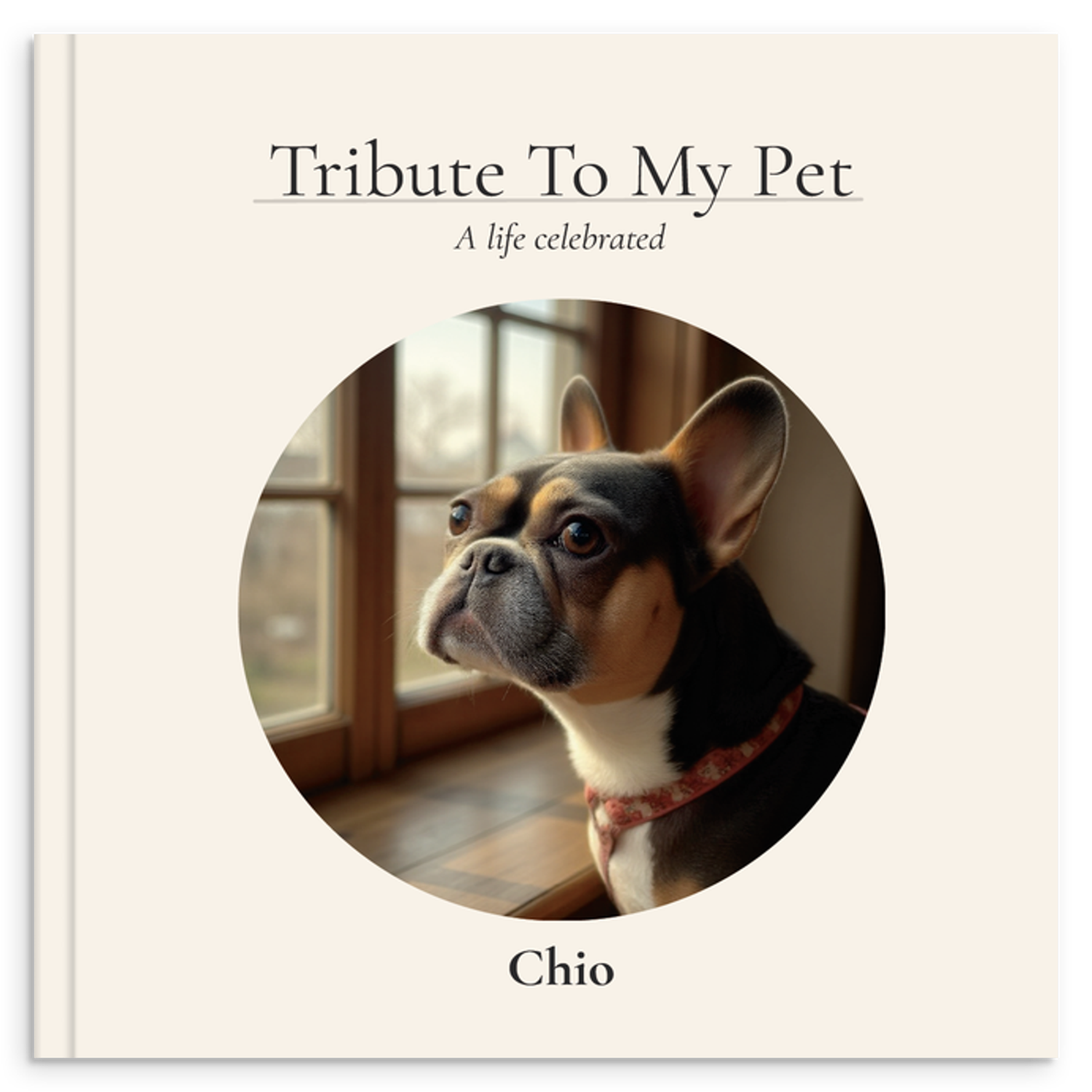 Chio's memorial book cover