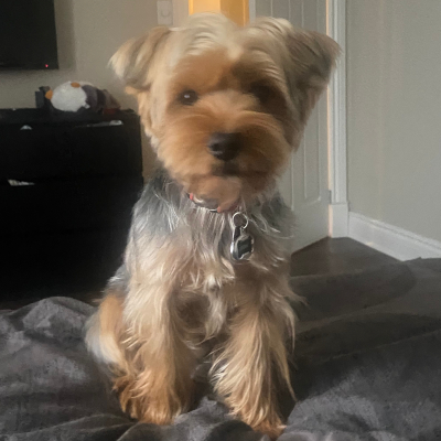 Original photo of Stevie G